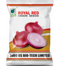 Onion Indo US Royal Red